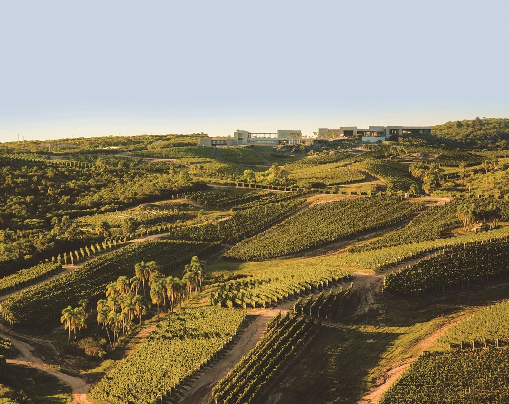 Bodega Garzón: New World Winery of the Year