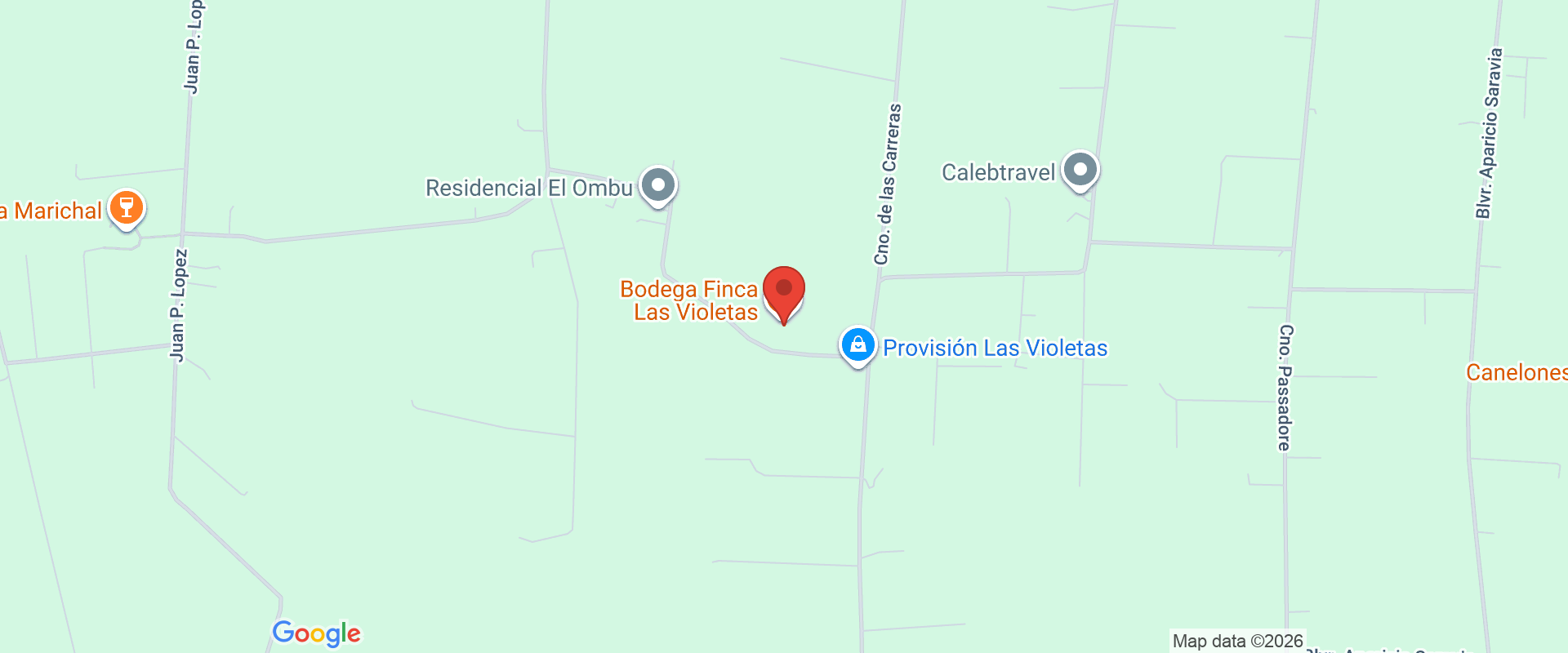FINCA LAS VIOLETAS