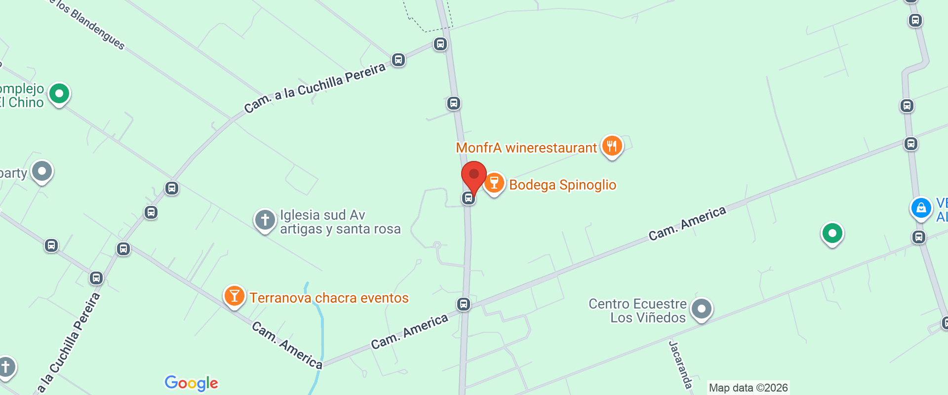 BODEGA SPINOGLIO