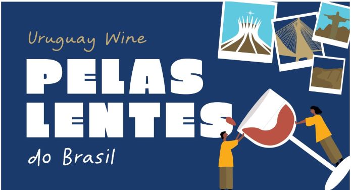 Uruguay Wine through the lens of Brazil