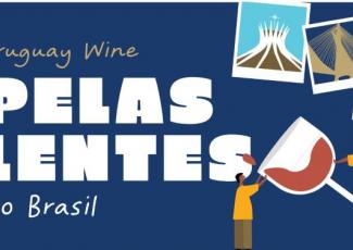 Uruguay Wine pelas lentes do Brazil